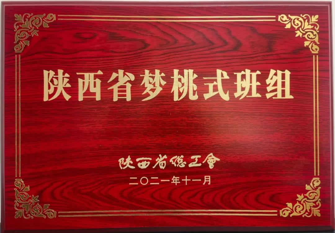 煉鋼廠連鑄車間1#機(jī)乙班被陜西省總工會命名為“夢桃式班組”