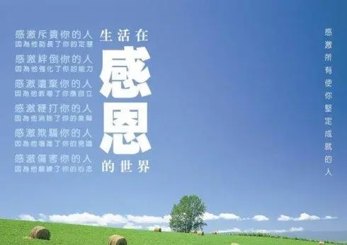 踐行“八字要求”，勇于擔(dān)當(dāng)甘于奉獻——學(xué)“感恩、知責(zé)、律己、有為”有感