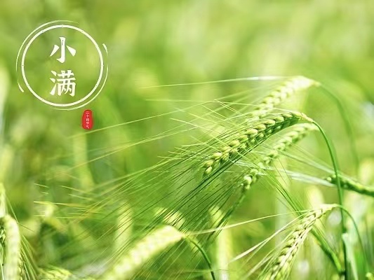 小滿抒懷