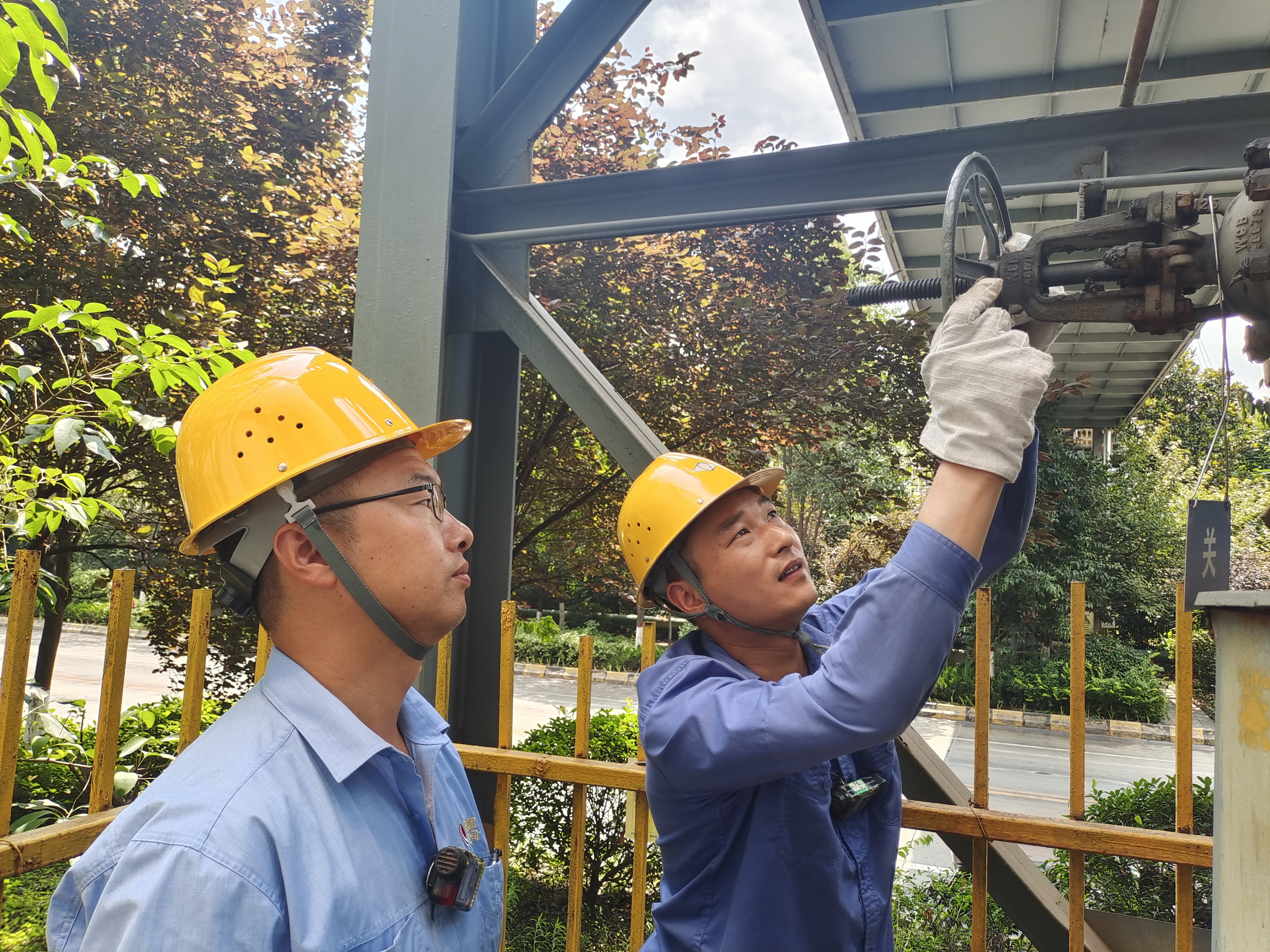 厚植成長沃土，助推青年人才脫穎而出