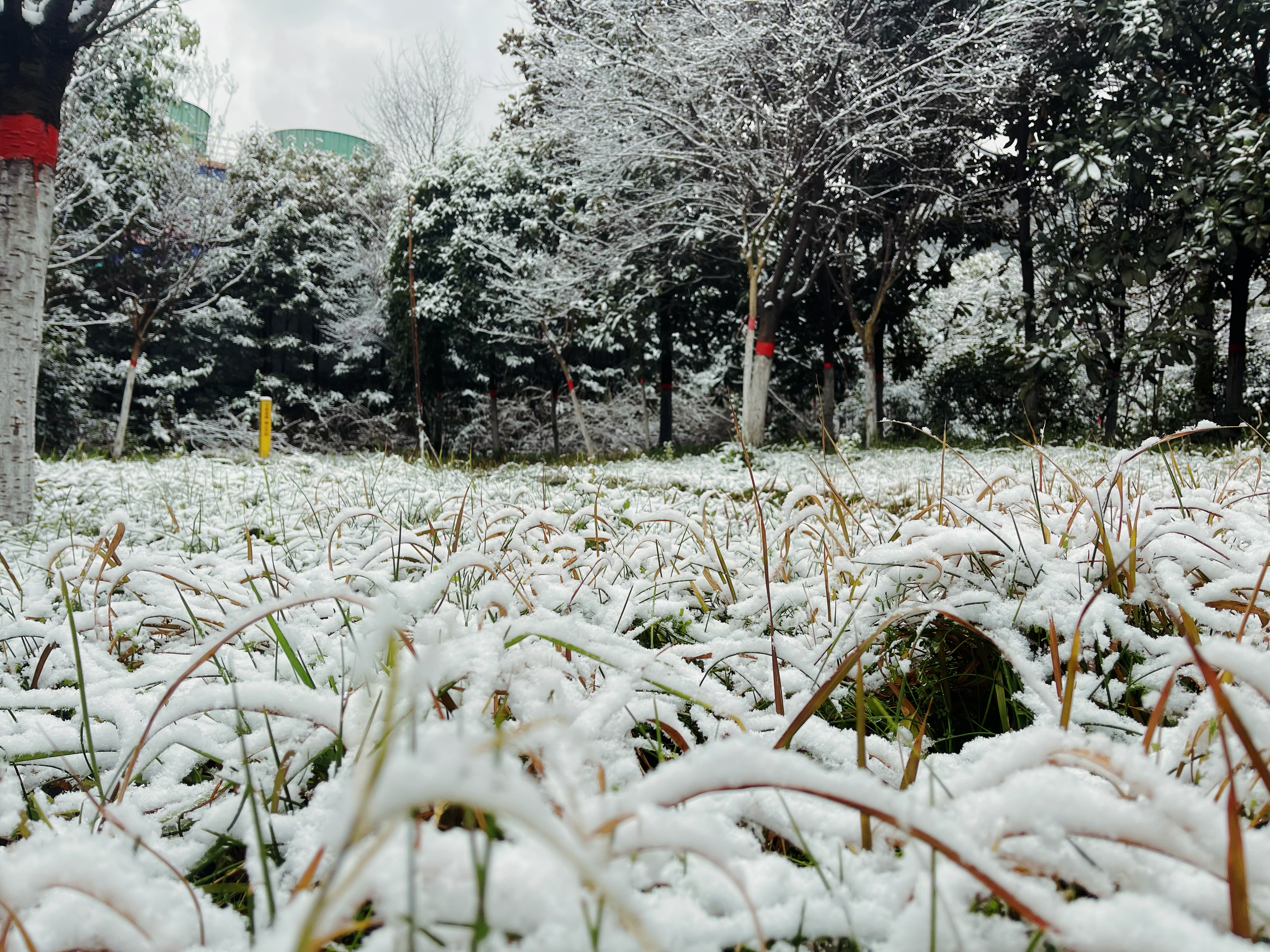 雪落鋼城 巍巍鋼城披盛裝
