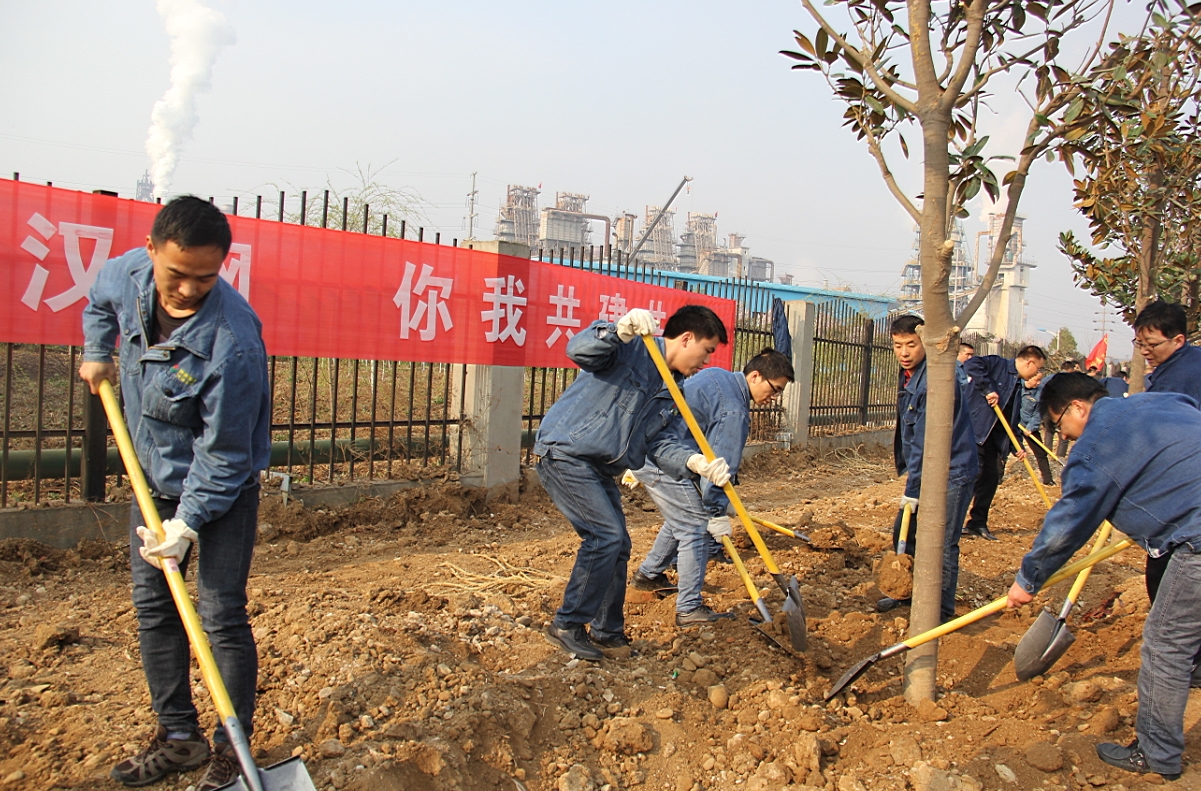 漢鋼公司掀起“美麗漢鋼，你我共創(chuàng)”擴綠行動